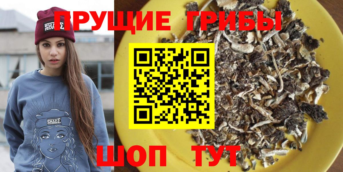 Галлюциногенные грибы Psilocybine cubensis Луга
