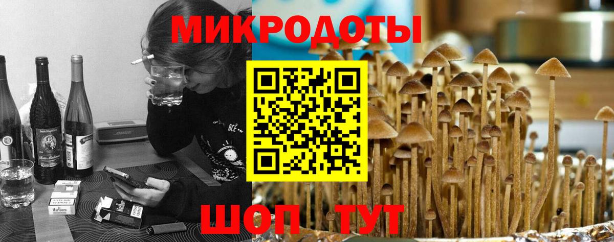 Псилоцибиновые грибы мухоморы  продажа наркотиков  Луга  Вход с VPN 